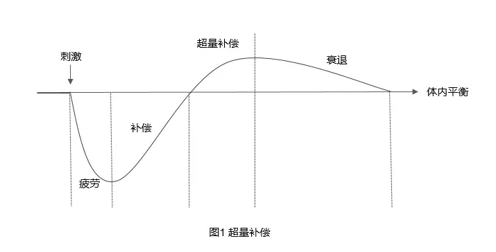 article_img/2025-06-20/6854d2131a8d47653.jpg