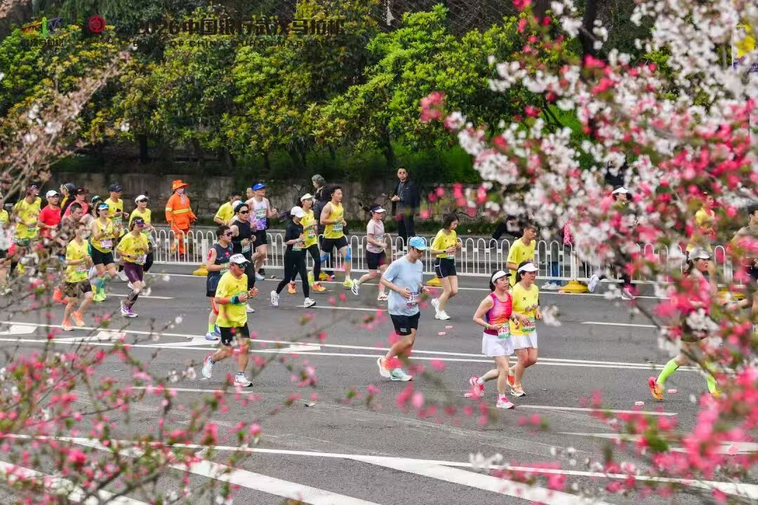 1.png article_img/2026-03-31/69cb7a45e2e528887.png