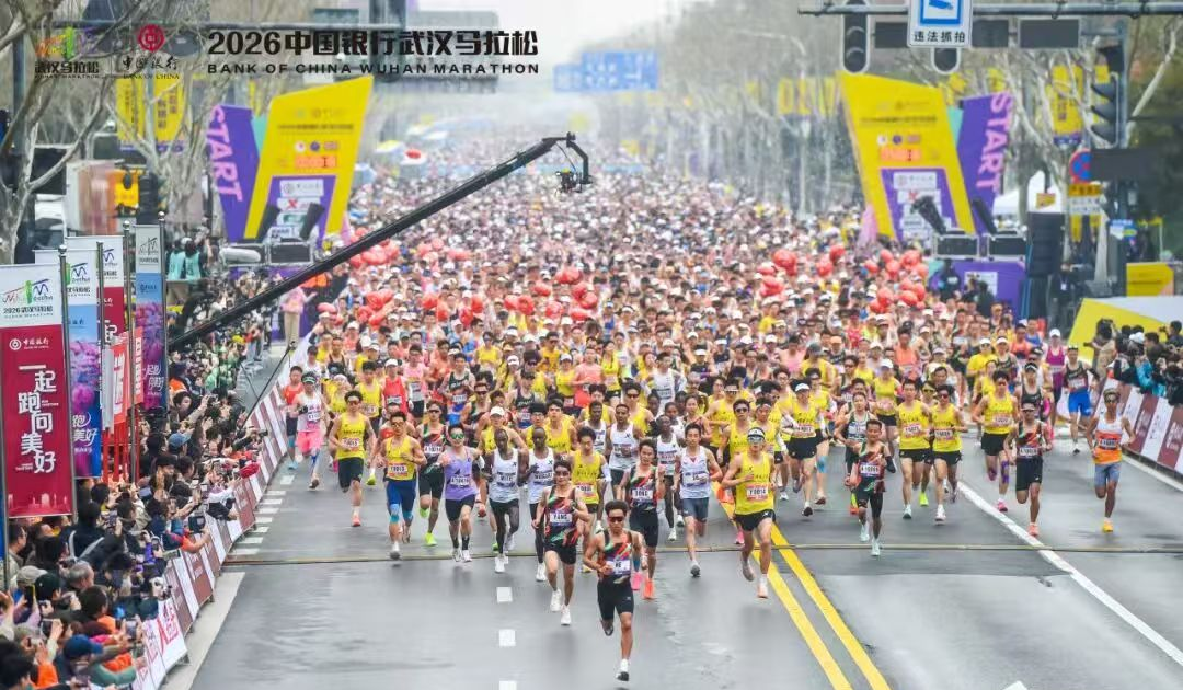 1.png article_img/2026-03-31/69cb7acd5075f2109.png