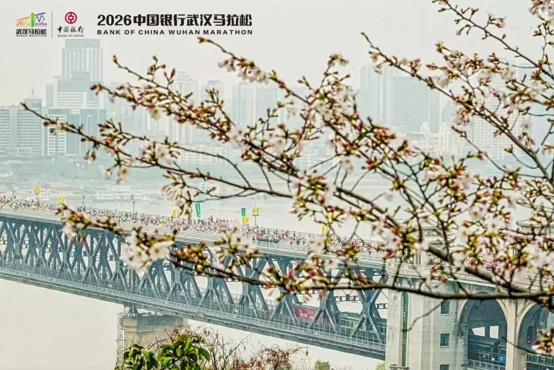 1.png article_img/2026-03-31/69cb7b1fc85679811.png