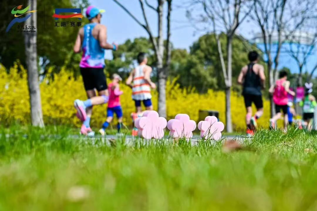 1.png article_img/2026-03-31/69cb7f6cba4899266.png