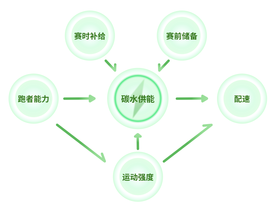 6.jpg article_img/2026-08-25/6a8cfedcbe99d3356.jpg
